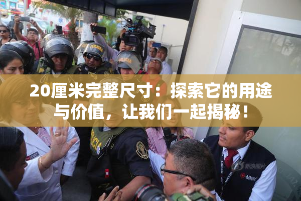 20厘米完整尺寸：探索它的用途与价值，让我们一起揭秘！