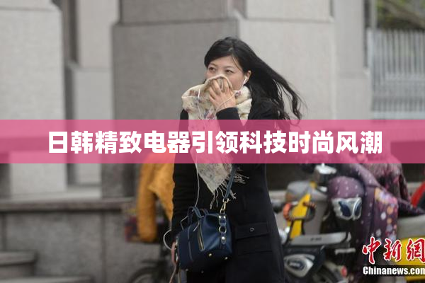 日韩精致电器引领科技时尚风潮