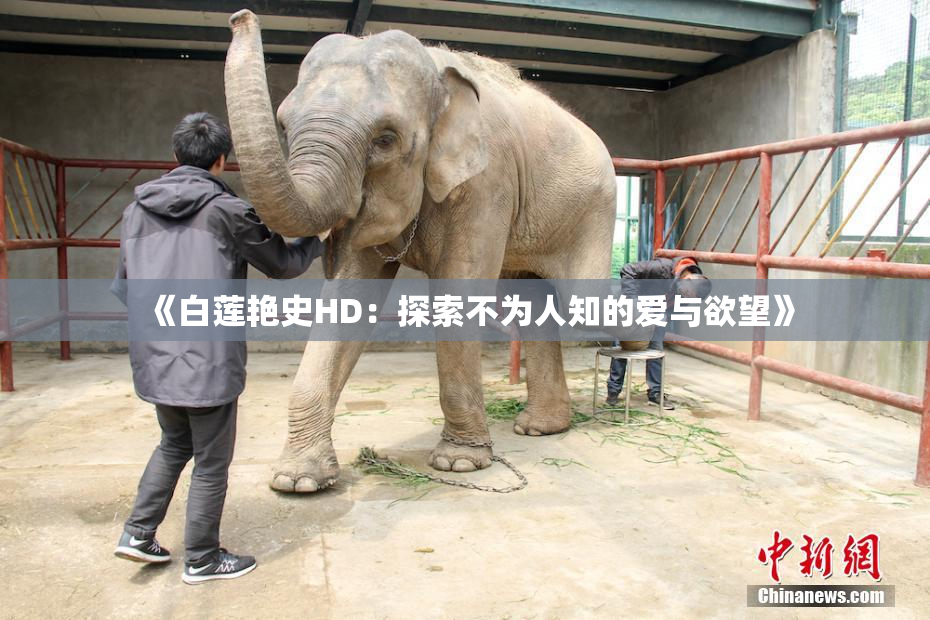 《白莲艳史HD：探索不为人知的爱与欲望》