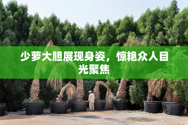 少萝大胆展现身姿，惊艳众人目光聚焦