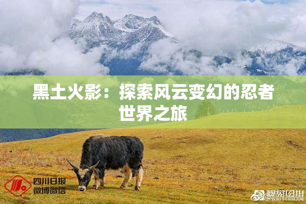 黑土火影：探索风云变幻的忍者世界之旅