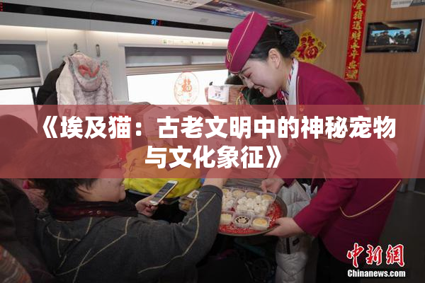 《埃及猫：古老文明中的神秘宠物与文化象征》
