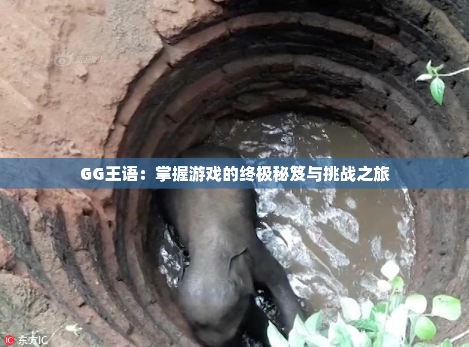 GG王语：掌握游戏的终极秘笈与挑战之旅