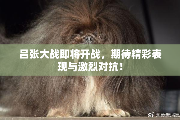 吕张大战即将开战，期待精彩表现与激烈对抗！