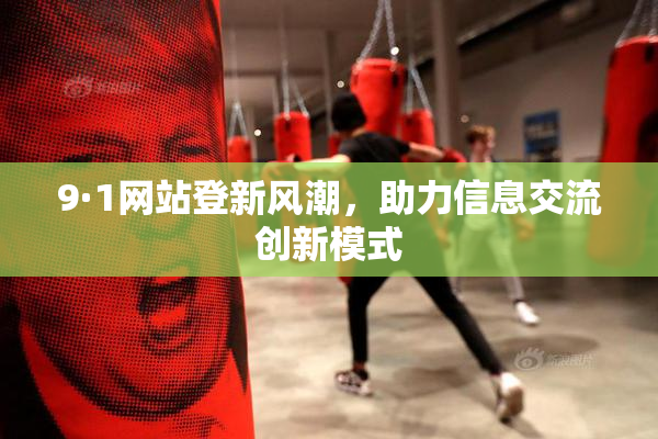 9·1网站登新风潮，助力信息交流创新模式