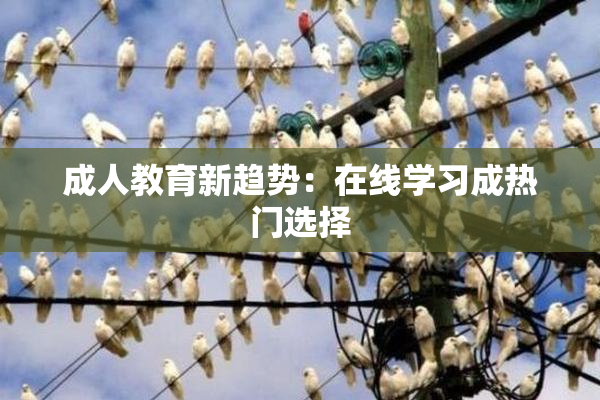 成人教育新趋势：在线学习成热门选择
