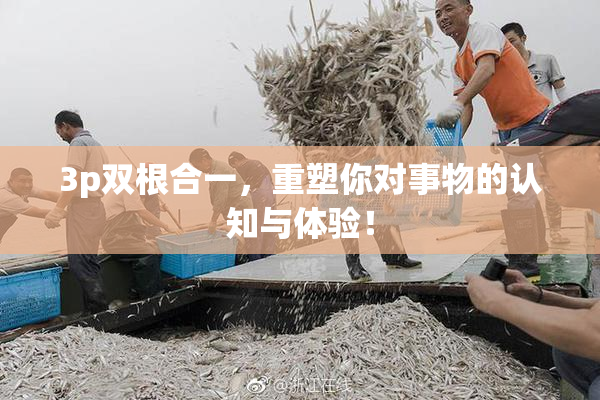 3p双根合一，重塑你对事物的认知与体验！