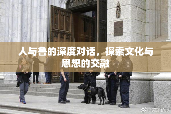人与鲁的深度对话，探索文化与思想的交融