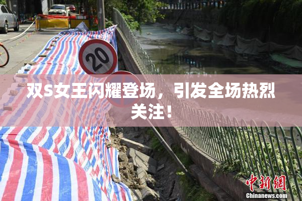 双S女王闪耀登场，引发全场热烈关注！