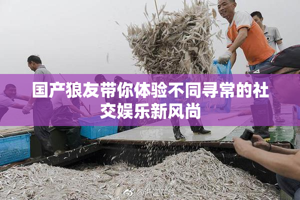 国产狼友带你体验不同寻常的社交娱乐新风尚