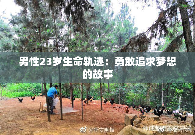 男性23岁生命轨迹：勇敢追求梦想的故事