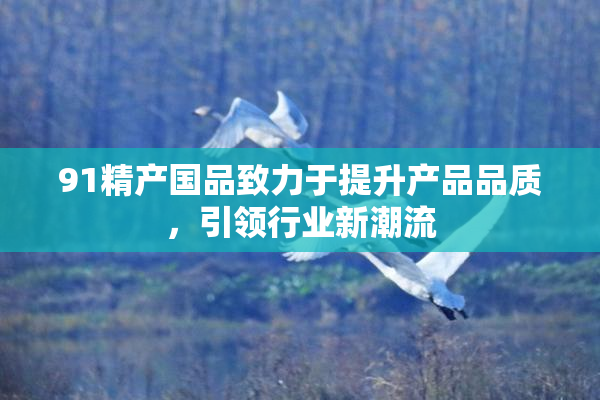 91精产国品致力于提升产品品质，引领行业新潮流