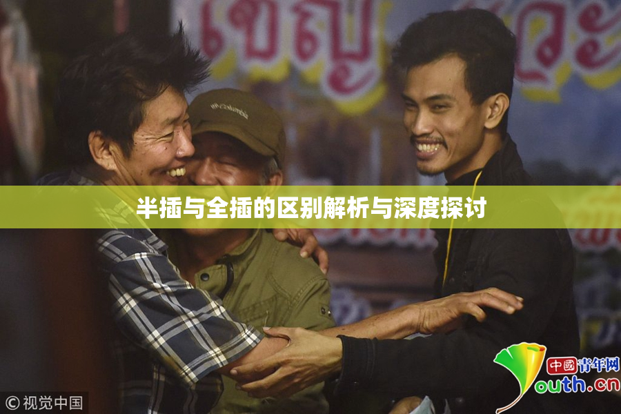 半插与全插的区别解析与深度探讨