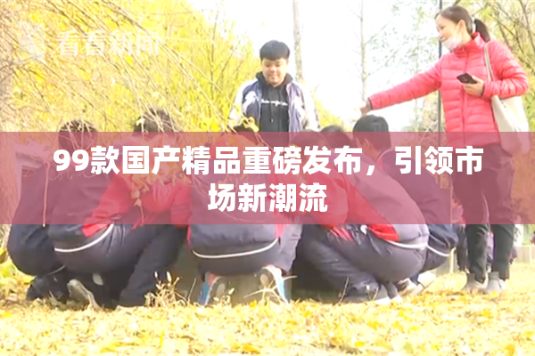 99款国产精品重磅发布，引领市场新潮流