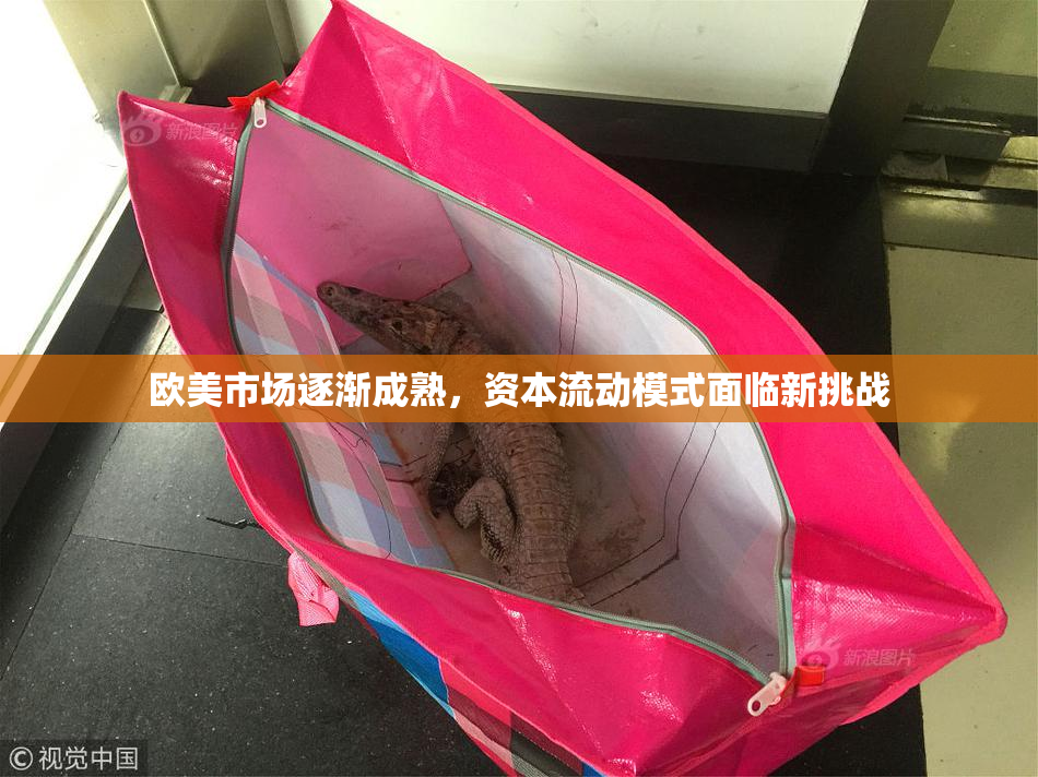欧美市场逐渐成熟，资本流动模式面临新挑战
