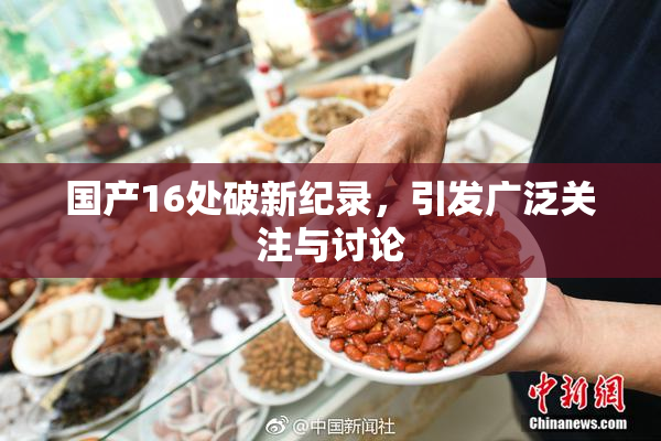 国产16处破新纪录，引发广泛关注与讨论