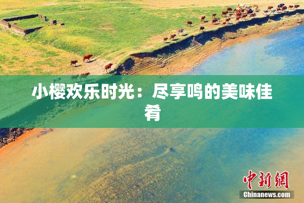 小樱欢乐时光：尽享鸣的美味佳肴