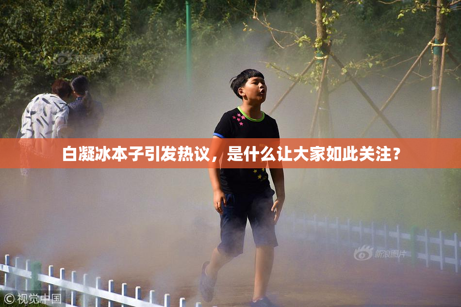白凝冰本子引发热议，是什么让大家如此关注？