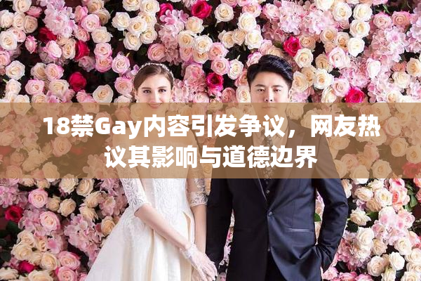 18禁Gay内容引发争议，网友热议其影响与道德边界