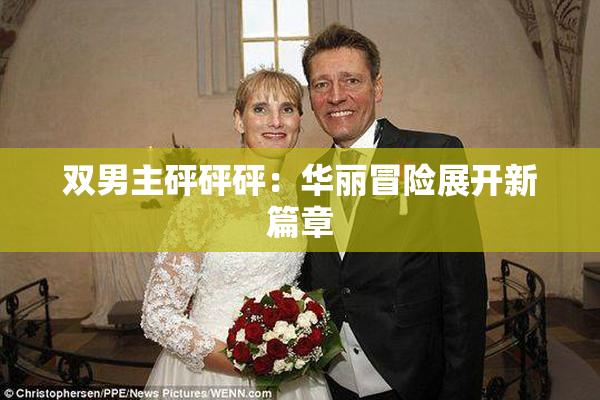 双男主砰砰砰：华丽冒险展开新篇章