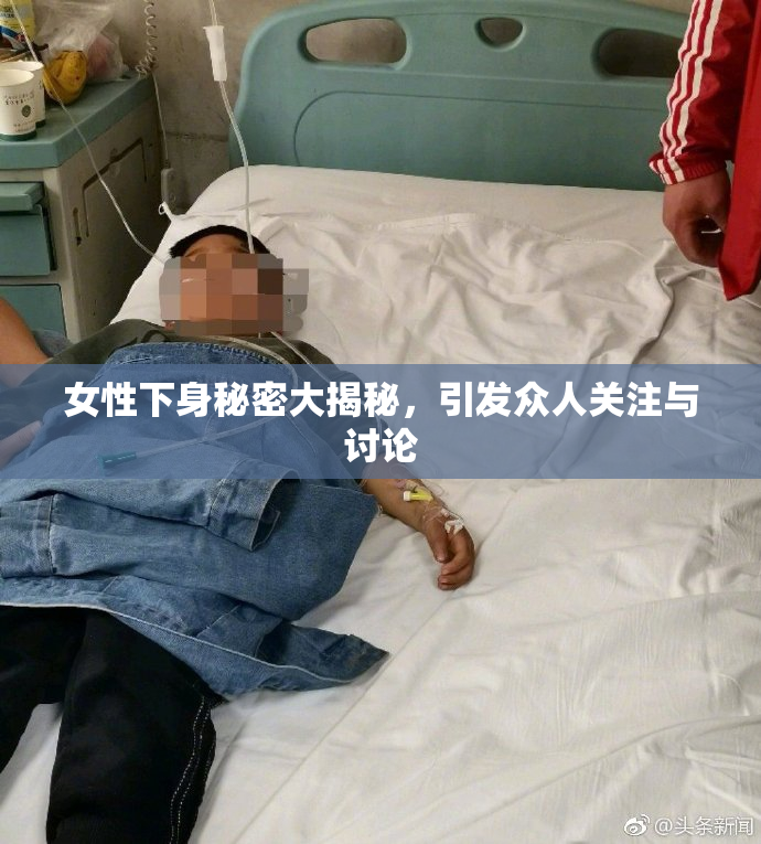 女性下身秘密大揭秘，引发众人关注与讨论