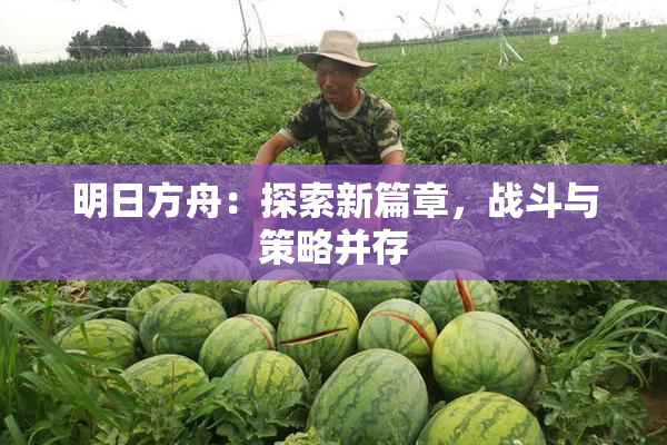 明日方舟：探索新篇章，战斗与策略并存