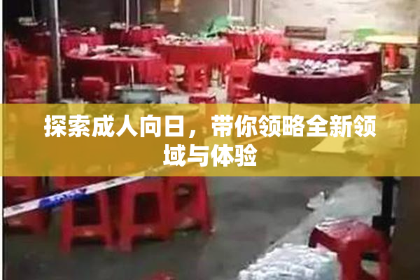 探索成人向日，带你领略全新领域与体验