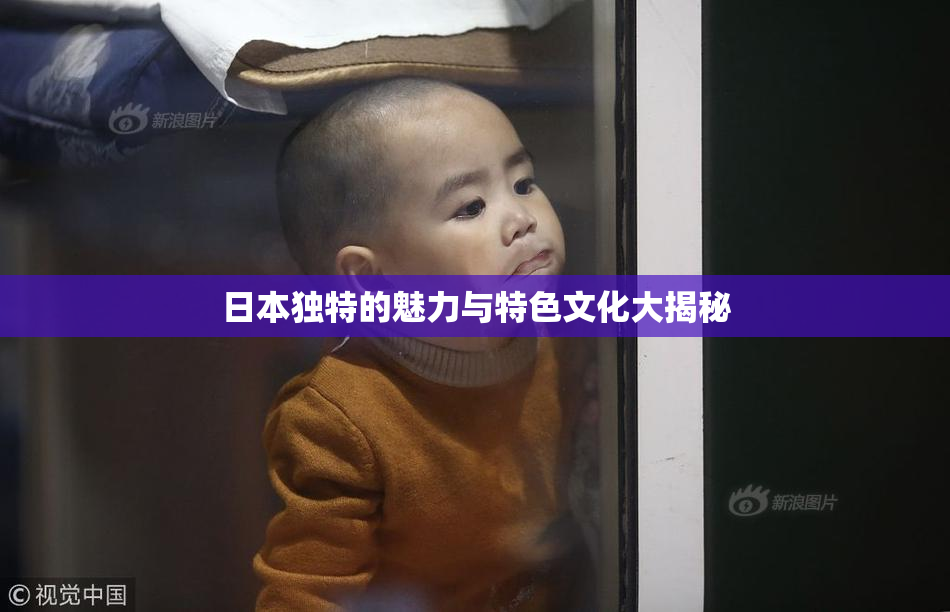 日本独特的魅力与特色文化大揭秘