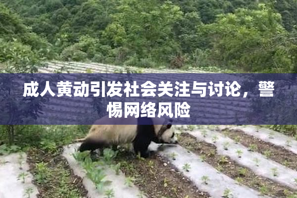 成人黄动引发社会关注与讨论，警惕网络风险