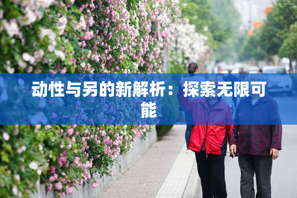 动性与另的新解析：探索无限可能