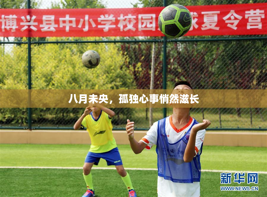 八月未央，孤独心事悄然滋长