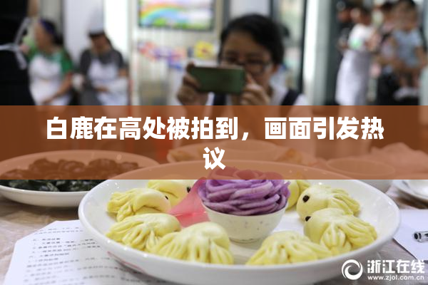 白鹿在高处被拍到，画面引发热议