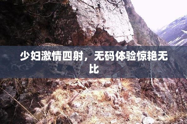 少妇激情四射，无码体验惊艳无比