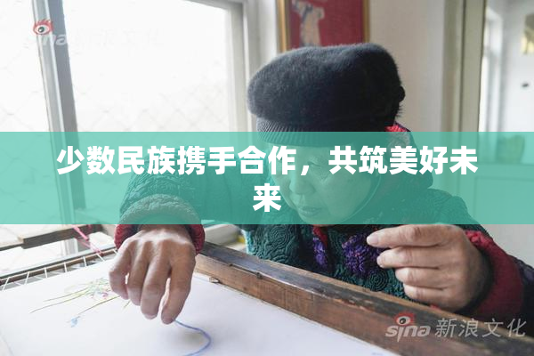 少数民族携手合作，共筑美好未来