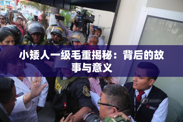 小矮人一级毛重揭秘：背后的故事与意义