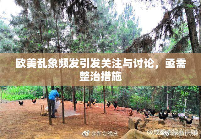欧美乱象频发引发关注与讨论，亟需整治措施