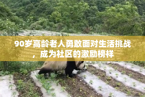 90岁高龄老人勇敢面对生活挑战，成为社区的激励榜样