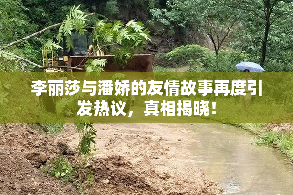 李丽莎与潘娇的友情故事再度引发热议，真相揭晓！