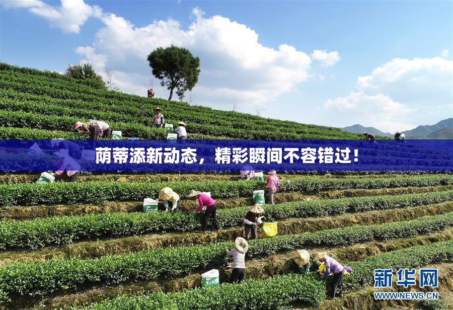 荫蒂添新动态，精彩瞬间不容错过！