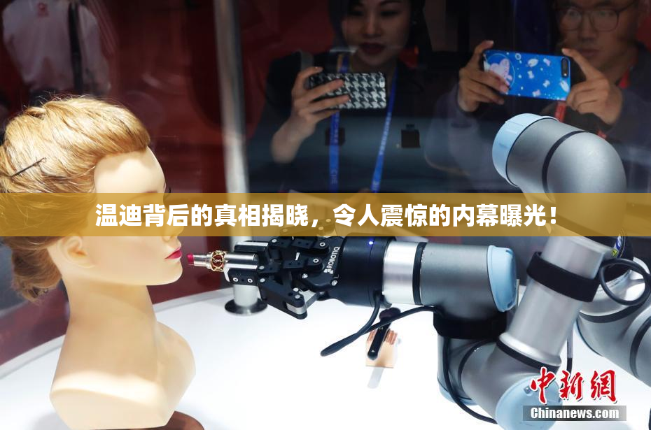 温迪背后的真相揭晓，令人震惊的内幕曝光！