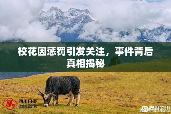 校花因惩罚引发关注，事件背后真相揭秘
