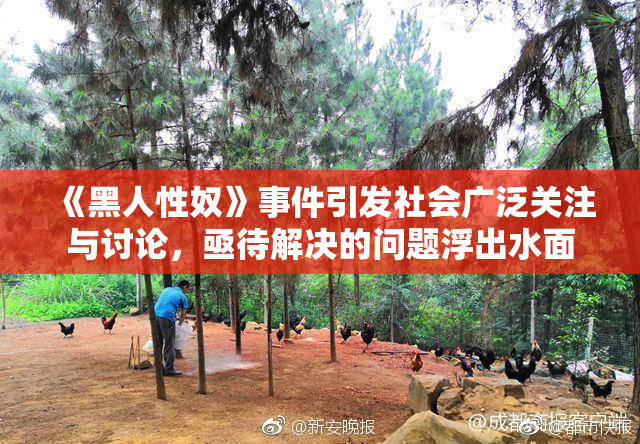 《黑人性奴》事件引发社会广泛关注与讨论，亟待解决的问题浮出水面