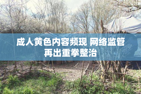 成人黄色内容频现 网络监管再出重拳整治