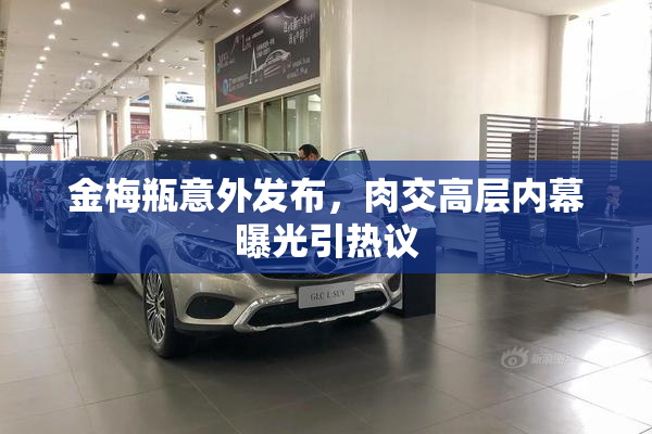 金梅瓶意外发布，肉交高层内幕曝光引热议