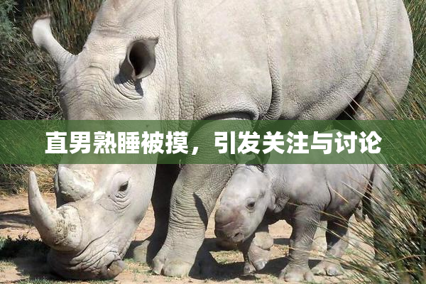 直男熟睡被摸，引发关注与讨论