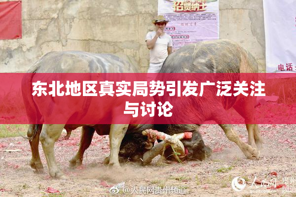 东北地区真实局势引发广泛关注与讨论