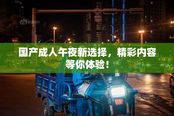 国产成人午夜新选择，精彩内容等你体验！