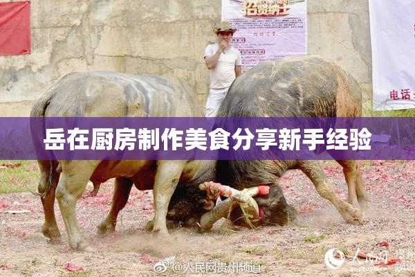 岳在厨房制作美食分享新手经验