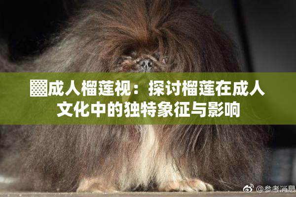 ▓成人榴莲视：探讨榴莲在成人文化中的独特象征与影响