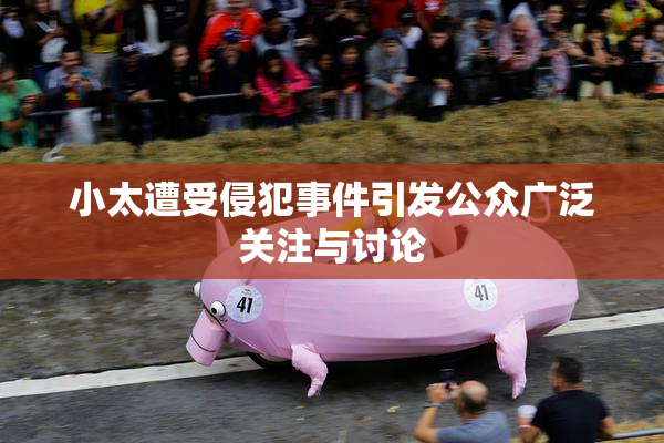 小太遭受侵犯事件引发公众广泛关注与讨论